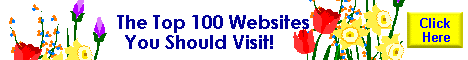 The Top 100 Websites You Should Visit!